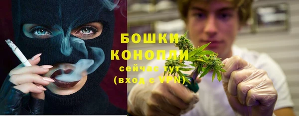 ECSTASY Абаза