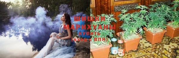 ECSTASY Абаза
