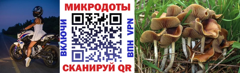 цены   Анадырь  OMG зеркало  Псилоцибиновые грибы Magic Shrooms 